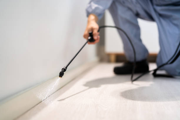 Bed Bug Pre-Treatment Preparation Assessment in Tahoma