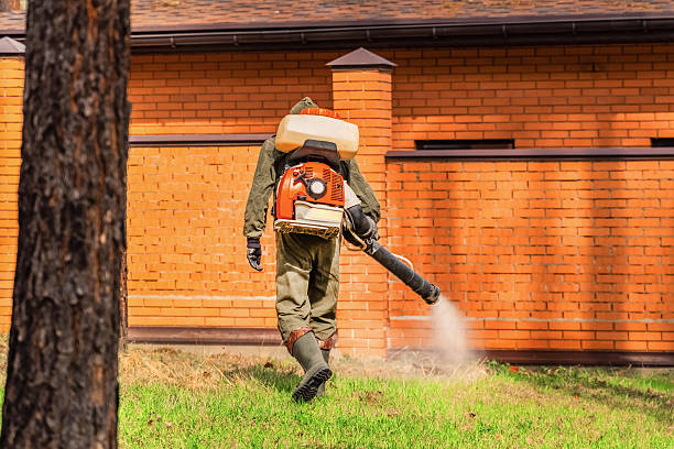 Bed Bug Clearance Verification and Documentation in Tahoma